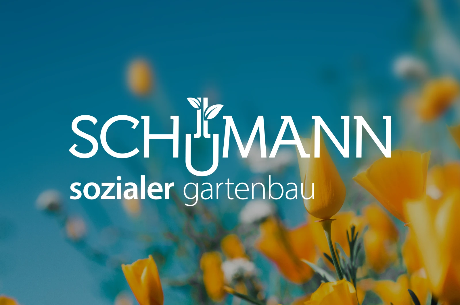 Logogestaltung Berlin Branding Gartenbau