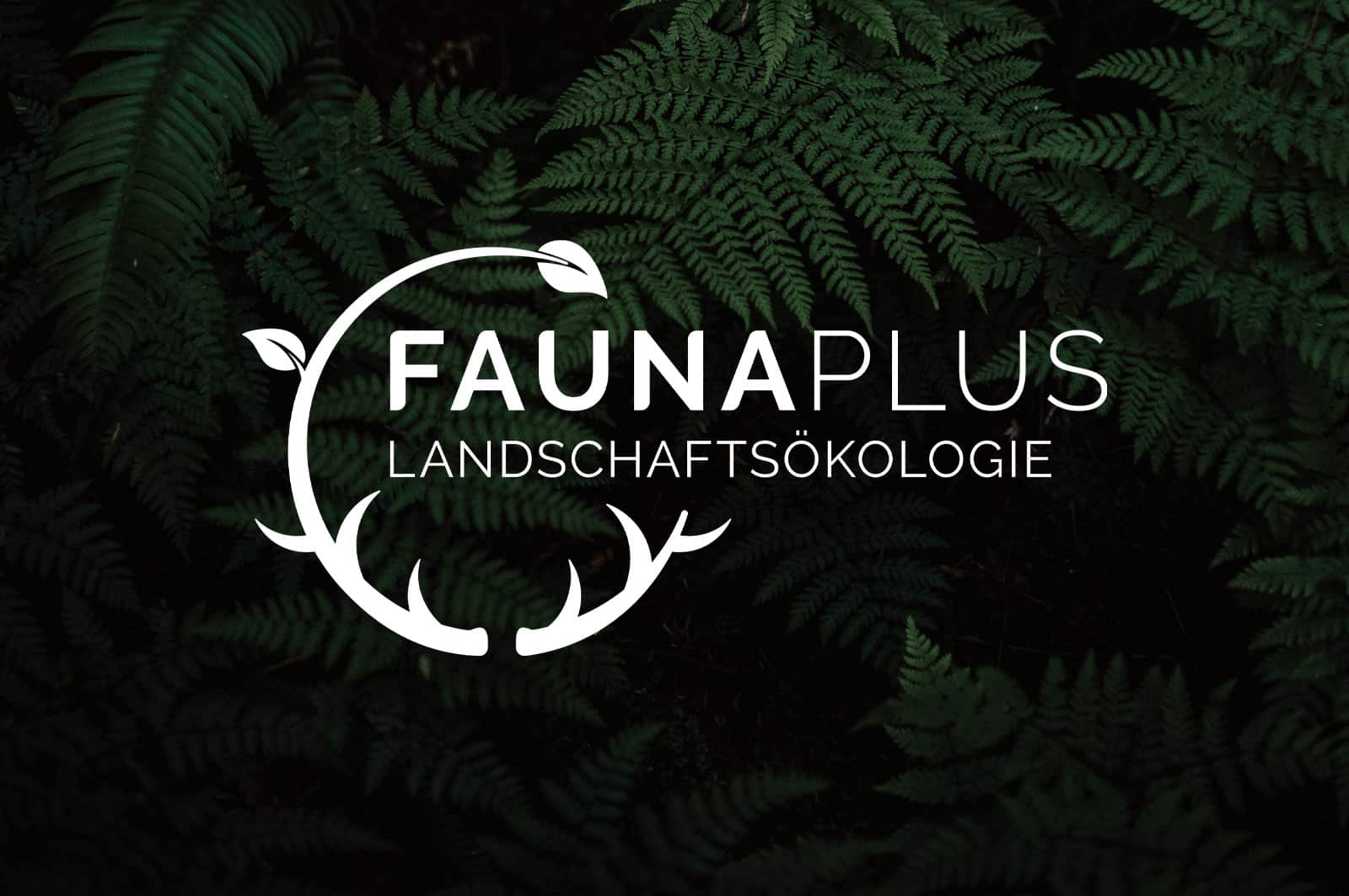 Logogestaltung Branding Berlin Umwelt Landschaftsökologie Natur