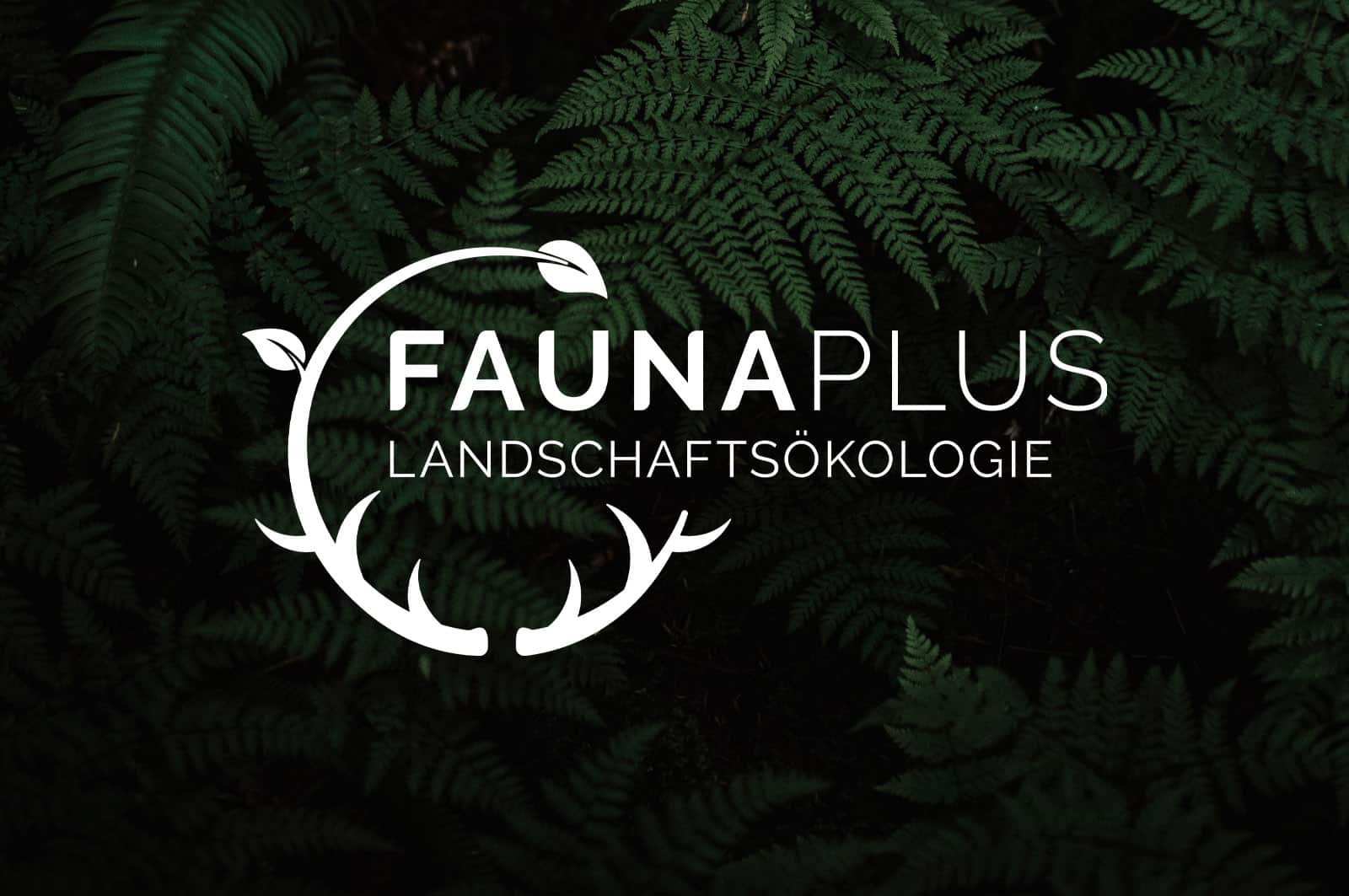 Logo design berlin branding faunaplus