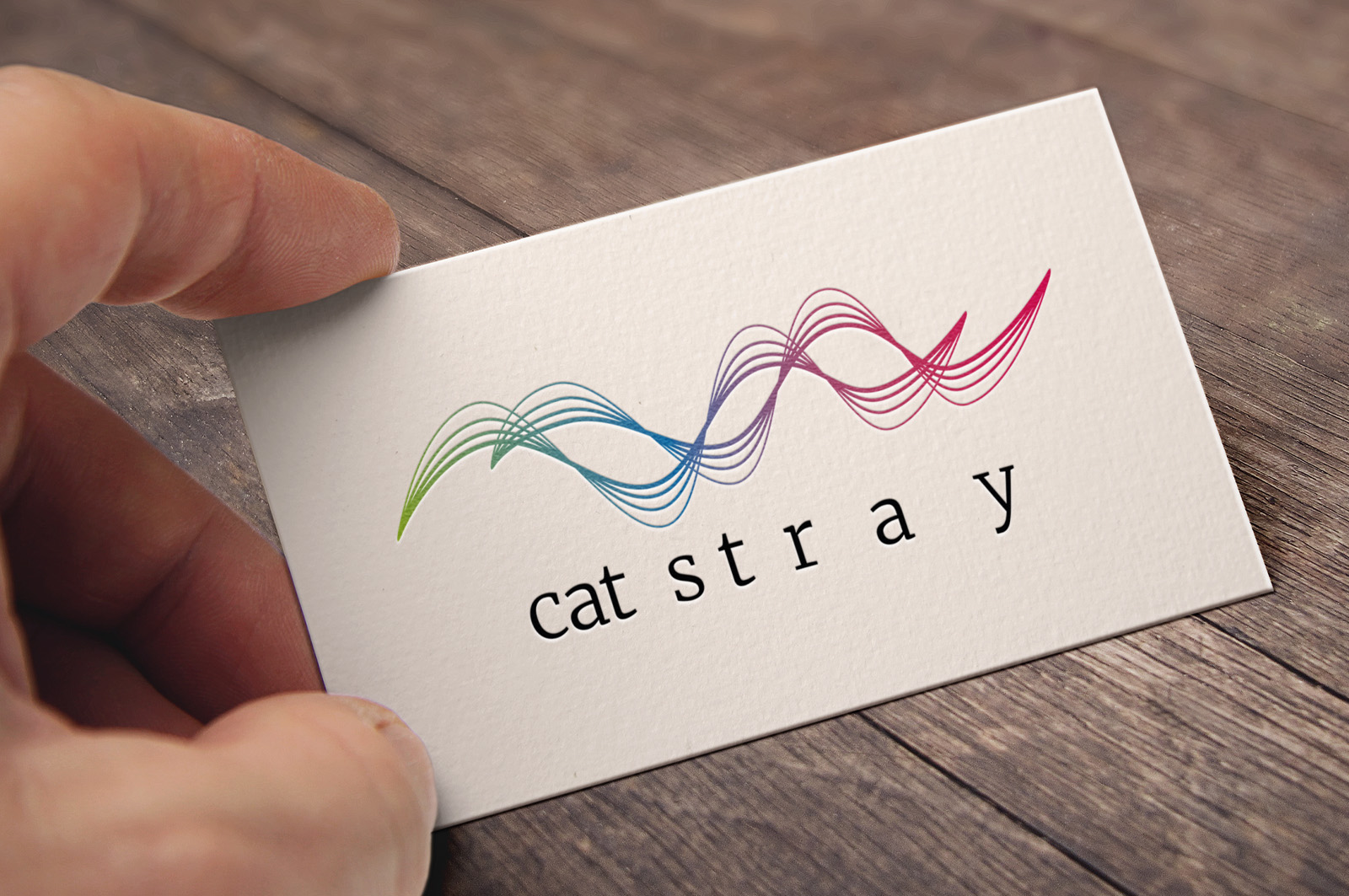 Logogestaltung CatStray Medienbranche Berlin