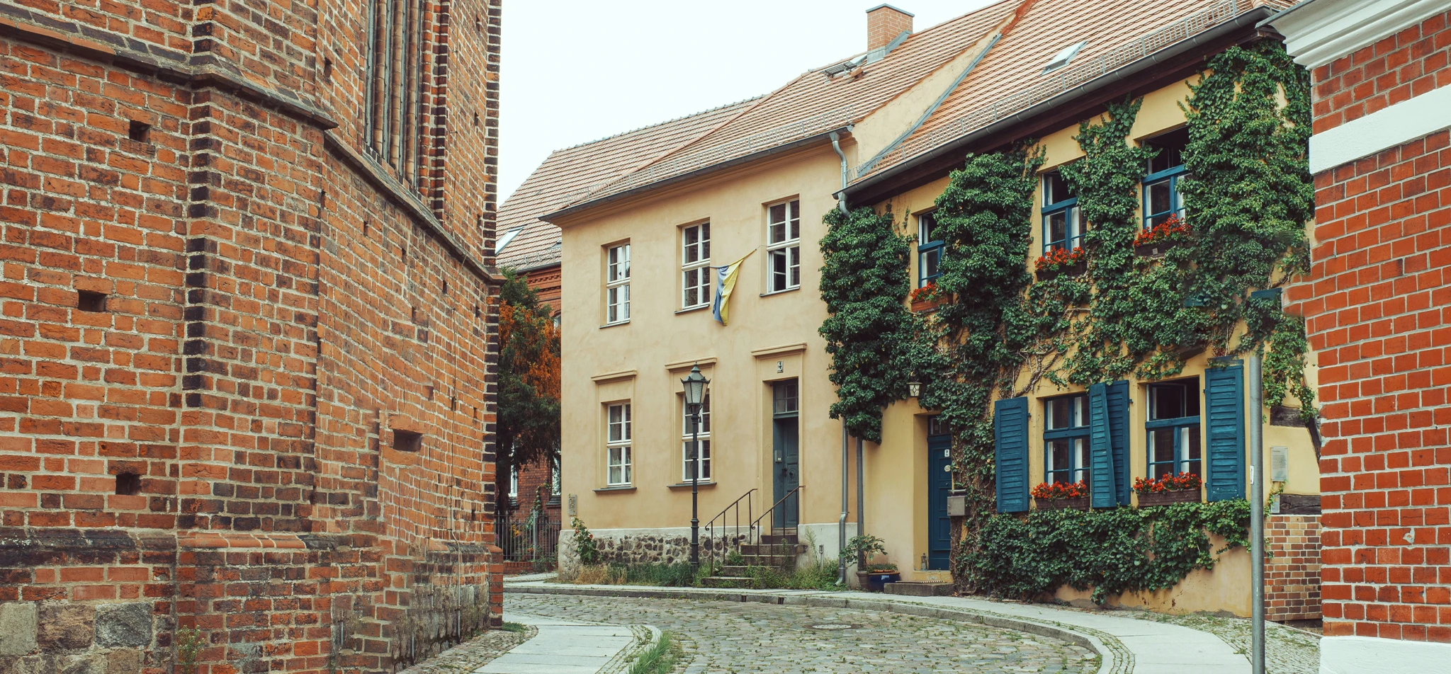 Webdesign Bernau Agentur